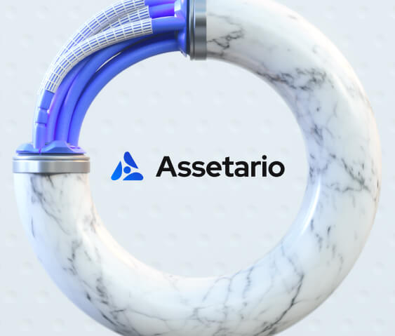 Assetario – Branding for the SaaS platform - Website Development - Photo 