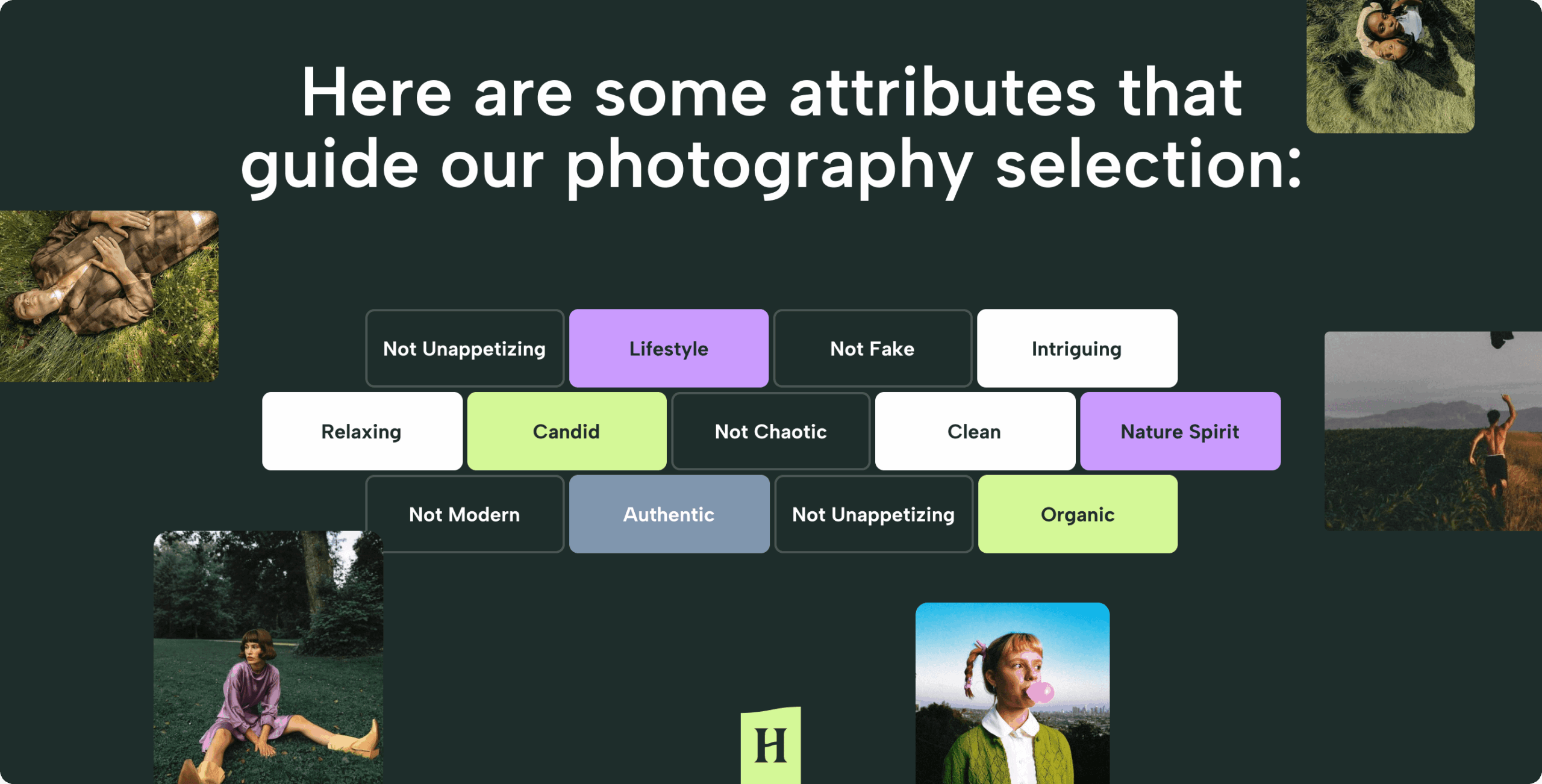 Herb.Agency – rebranding the cannabis experience - Website Development - Photo 21