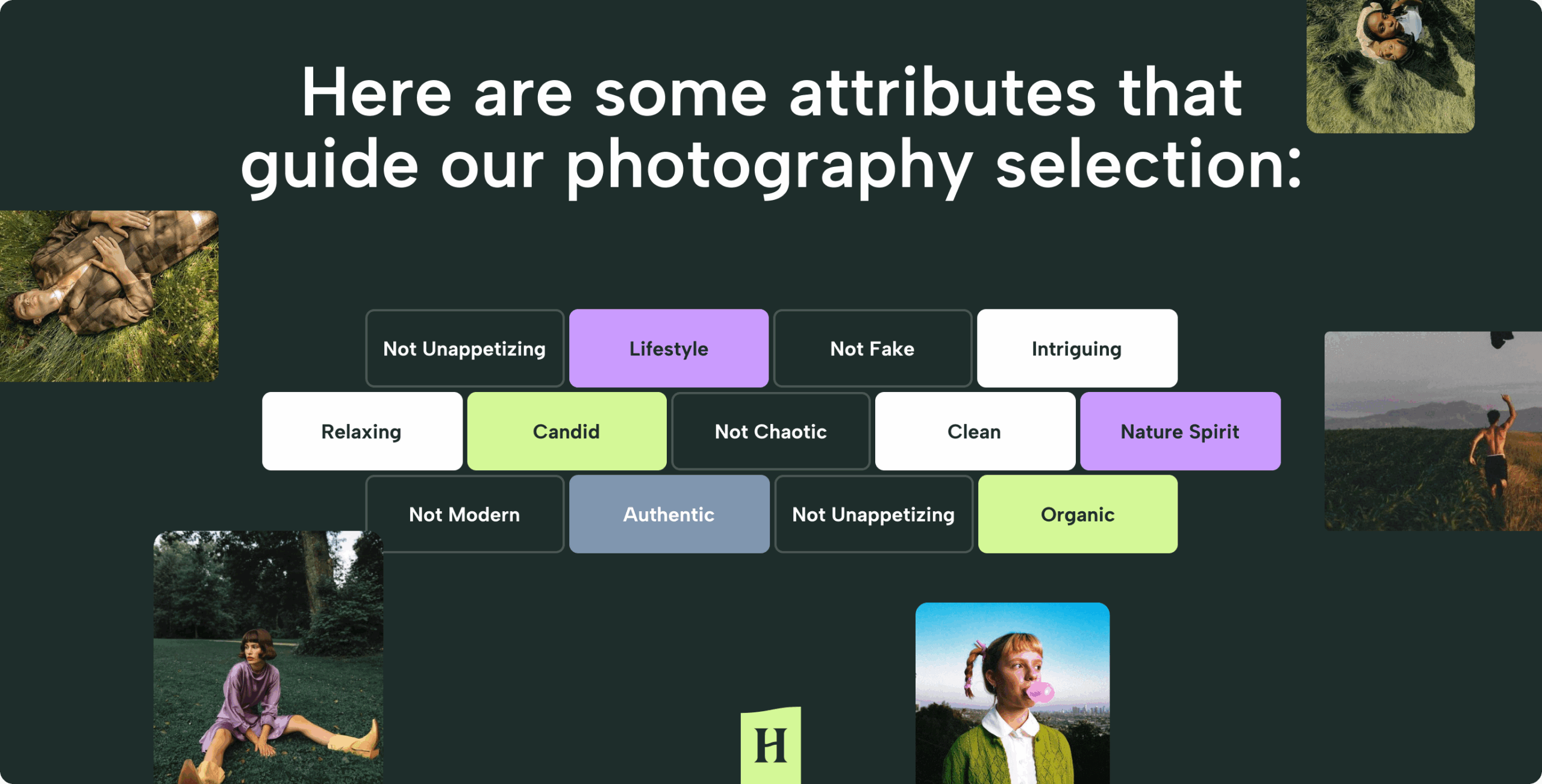 Herb.Agency – rebranding the cannabis experience (without compress) - Website Development - Photo 23