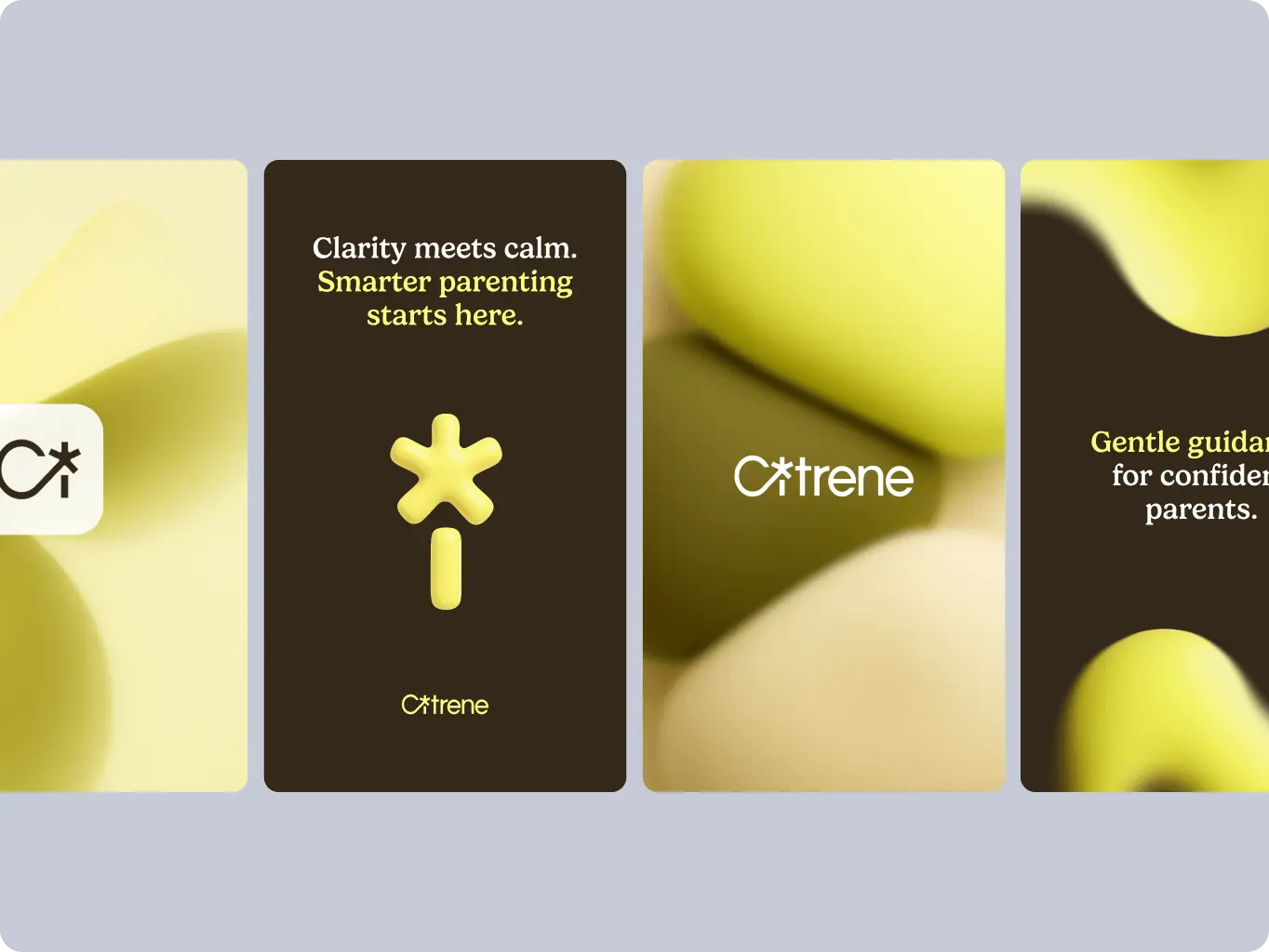 Citrene — clarity for modern parenting - Website Development - Photo 4