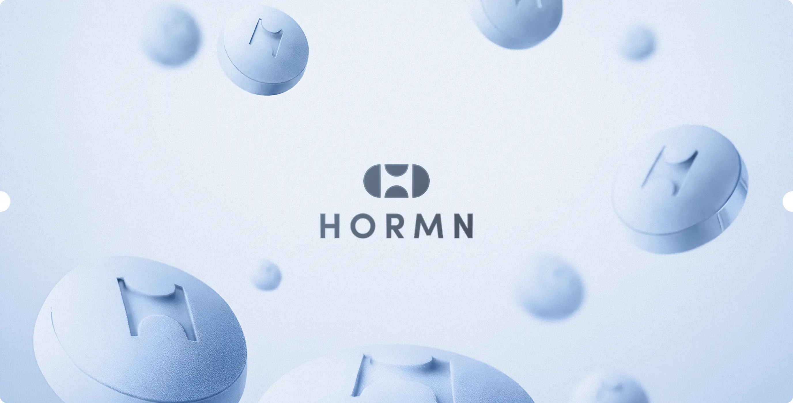 HORMN – an identity built to connect every HORMN touchpoint - Website Development - Photo 1